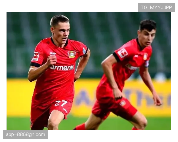 维尔茨与哈弗茨：技术特点与核心角色的深层对比